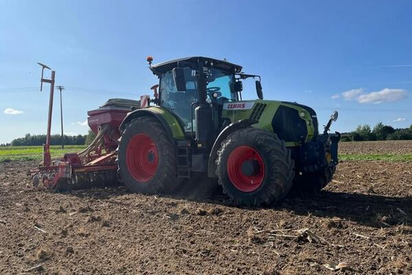 Maisaussaat mit Einzelkorn-Sägerät